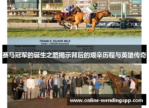 赛马冠军的诞生之路揭示背后的艰辛历程与英雄传奇