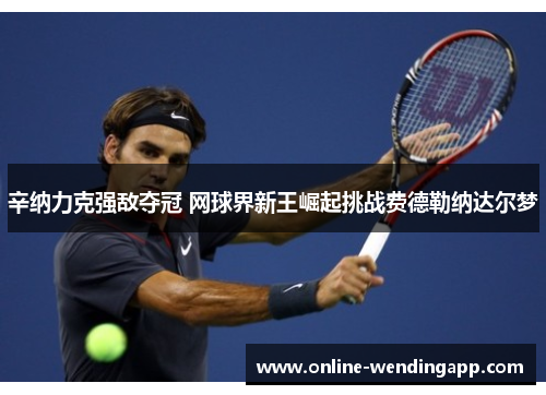 辛纳力克强敌夺冠 网球界新王崛起挑战费德勒纳达尔梦