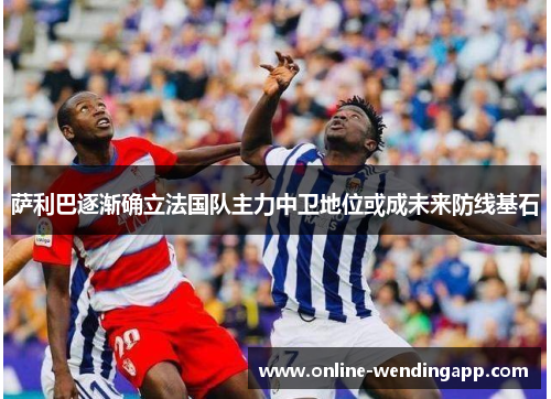 萨利巴逐渐确立法国队主力中卫地位或成未来防线基石